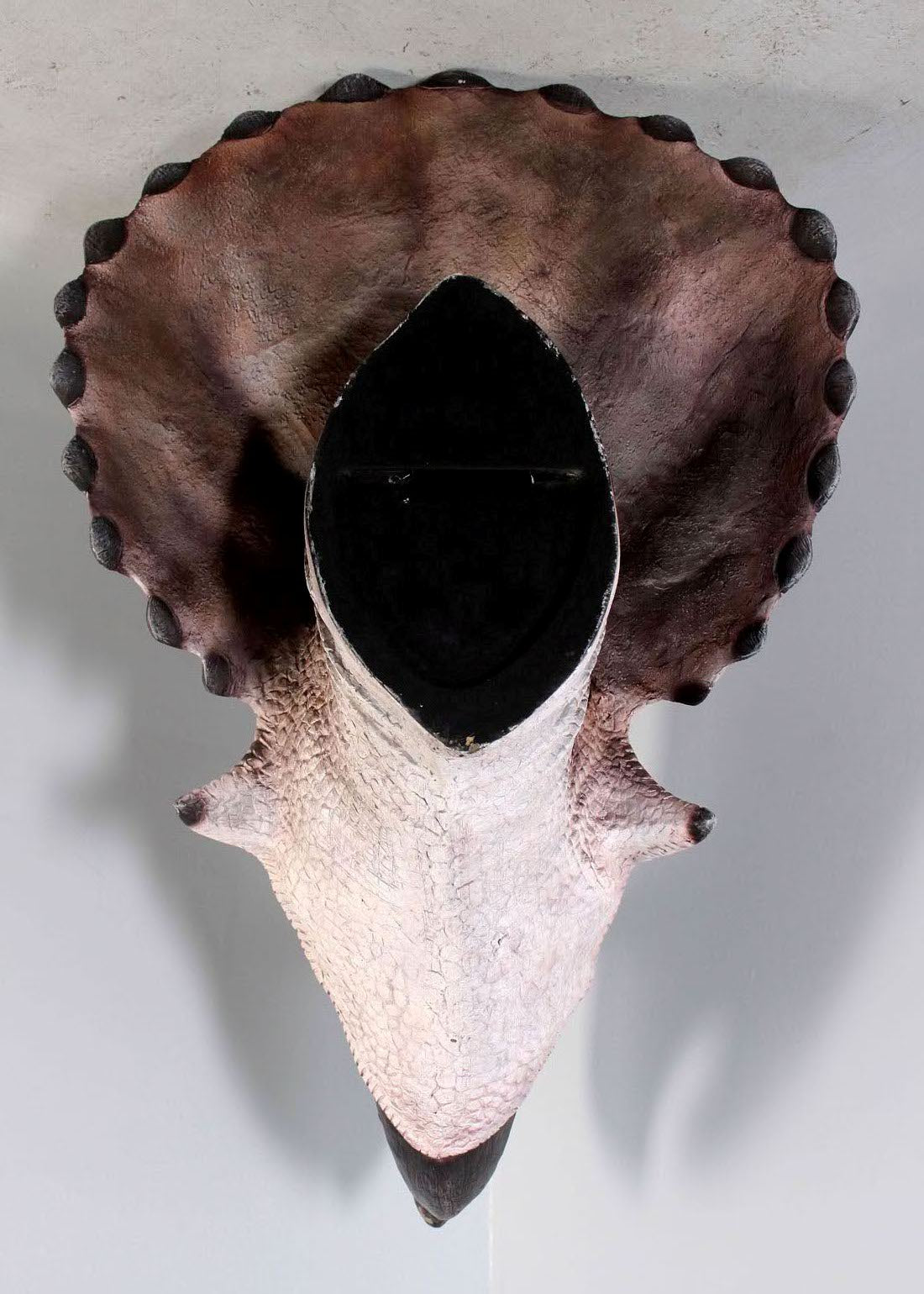 Large Triceratops Dinosaur Head Statue