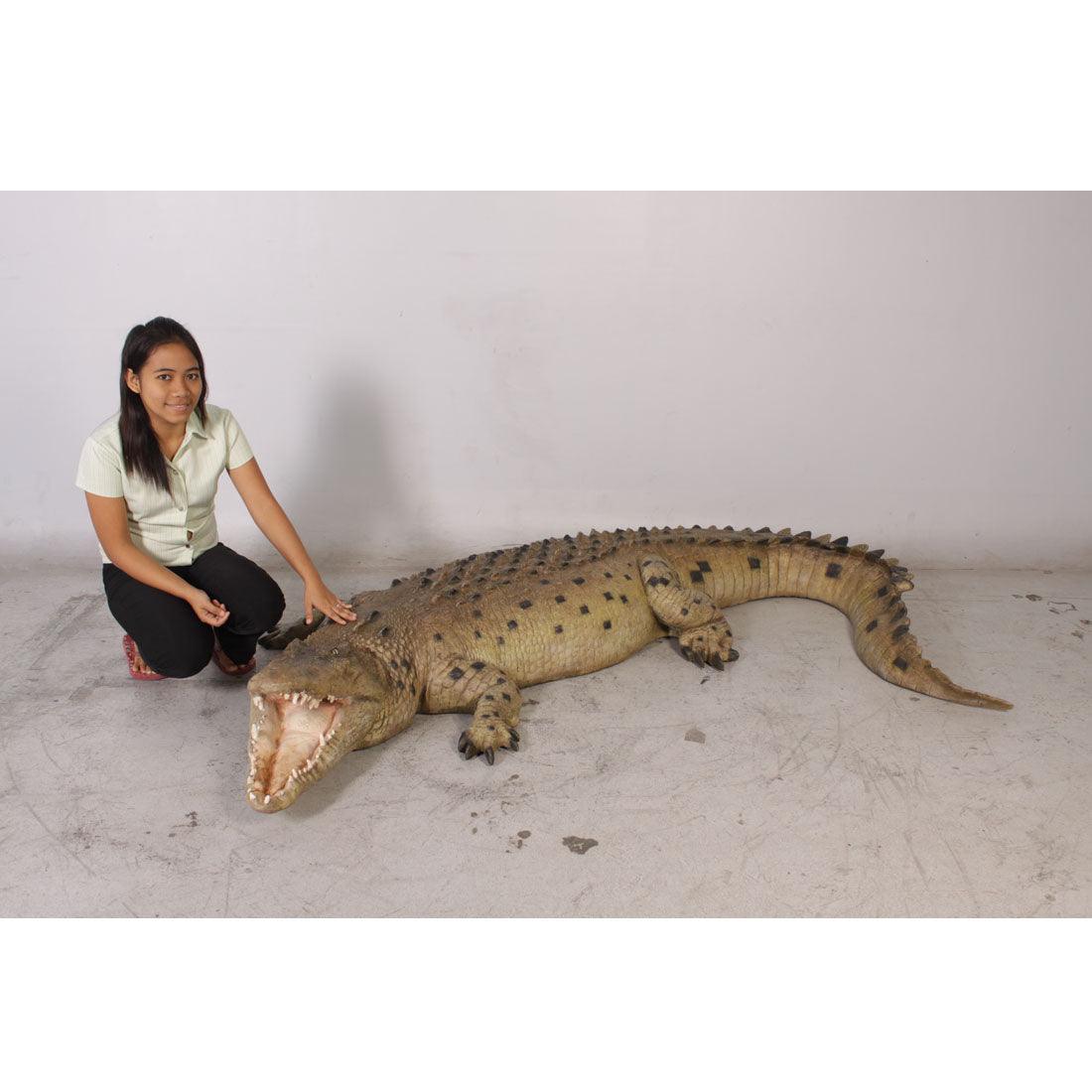 Crocodile Mouth Open Statue