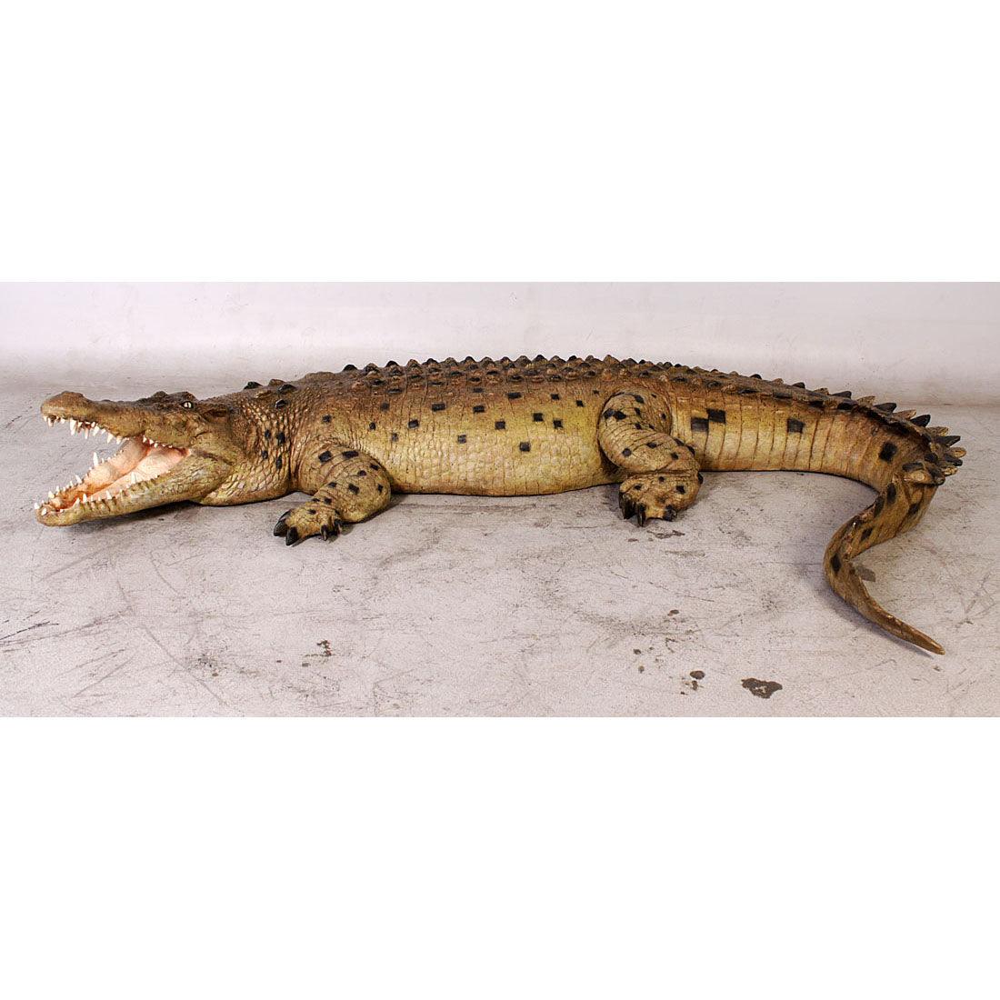 Crocodile Mouth Open Statue