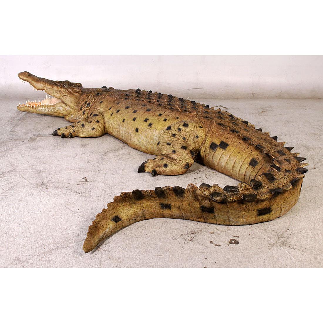 Crocodile Mouth Open Statue