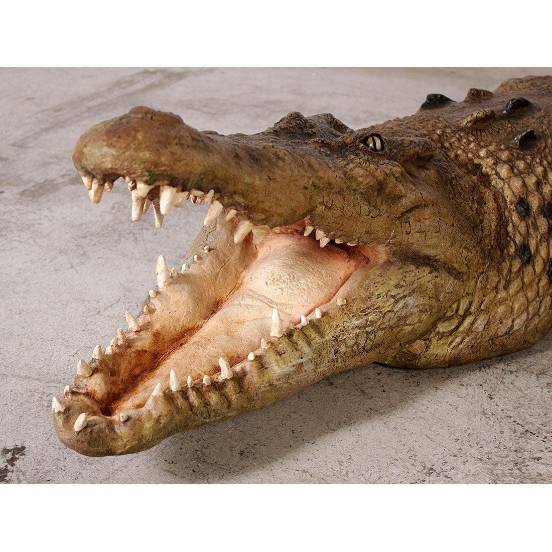 Crocodile Mouth Open Statue