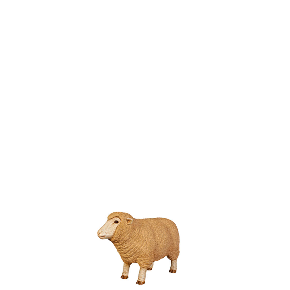 Baby Merino Ewe Statue