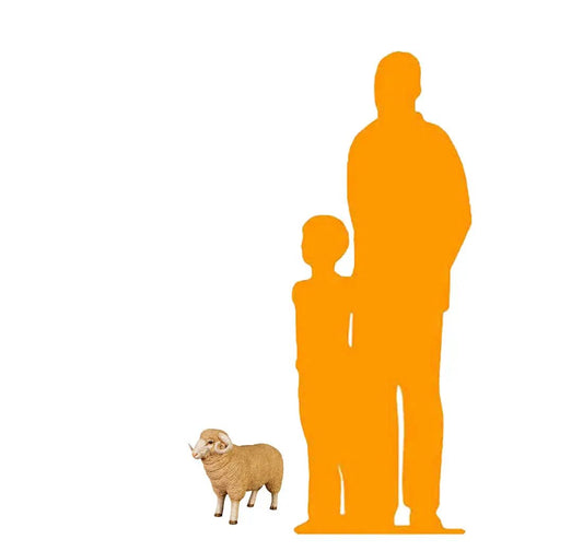 Baby Merino Ram Statue A0287-110128-H