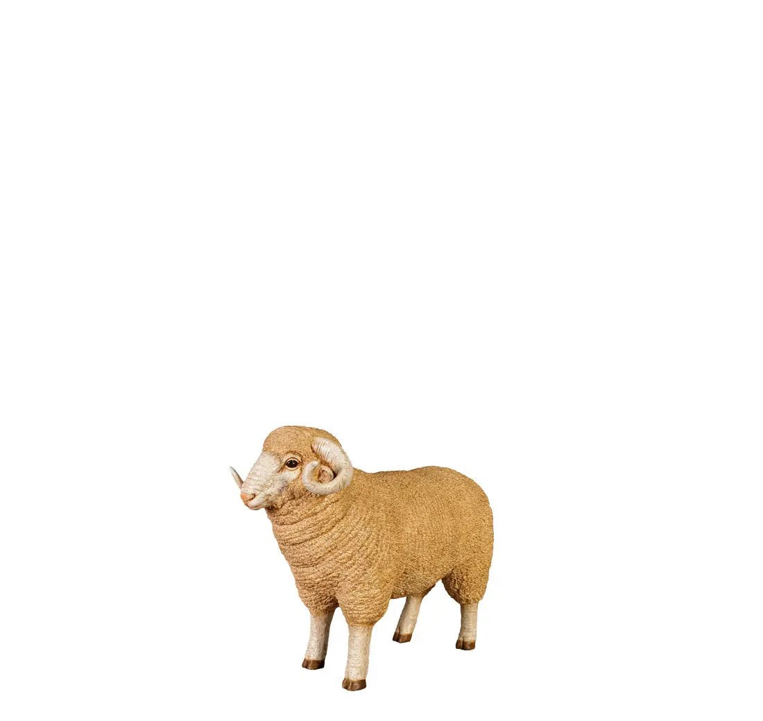 Baby Merino Ram Statue A0287-110128-H