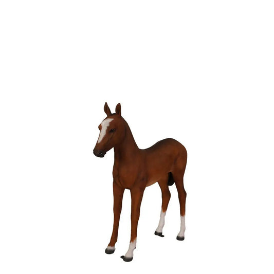 Pony Foal Horse Standing Statue A0332-120043-H