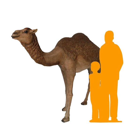 Walking Camel Life Size Statue