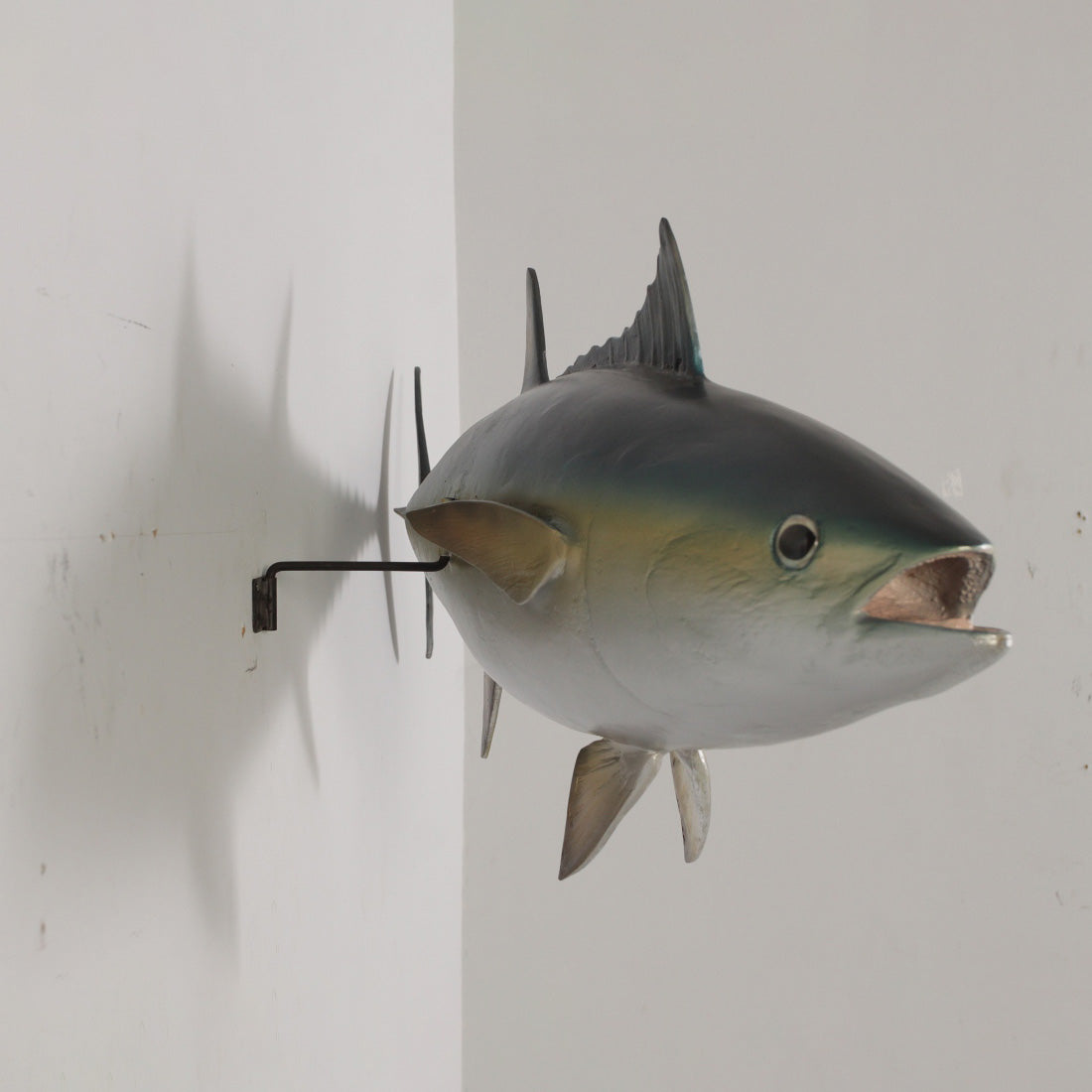 Bluefin Tuna Fish Wall Decor Statue