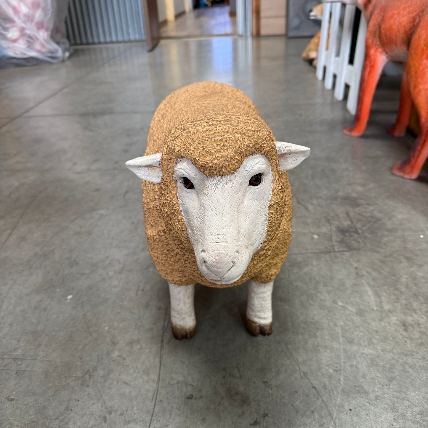 Baby Merino Ewe Statue