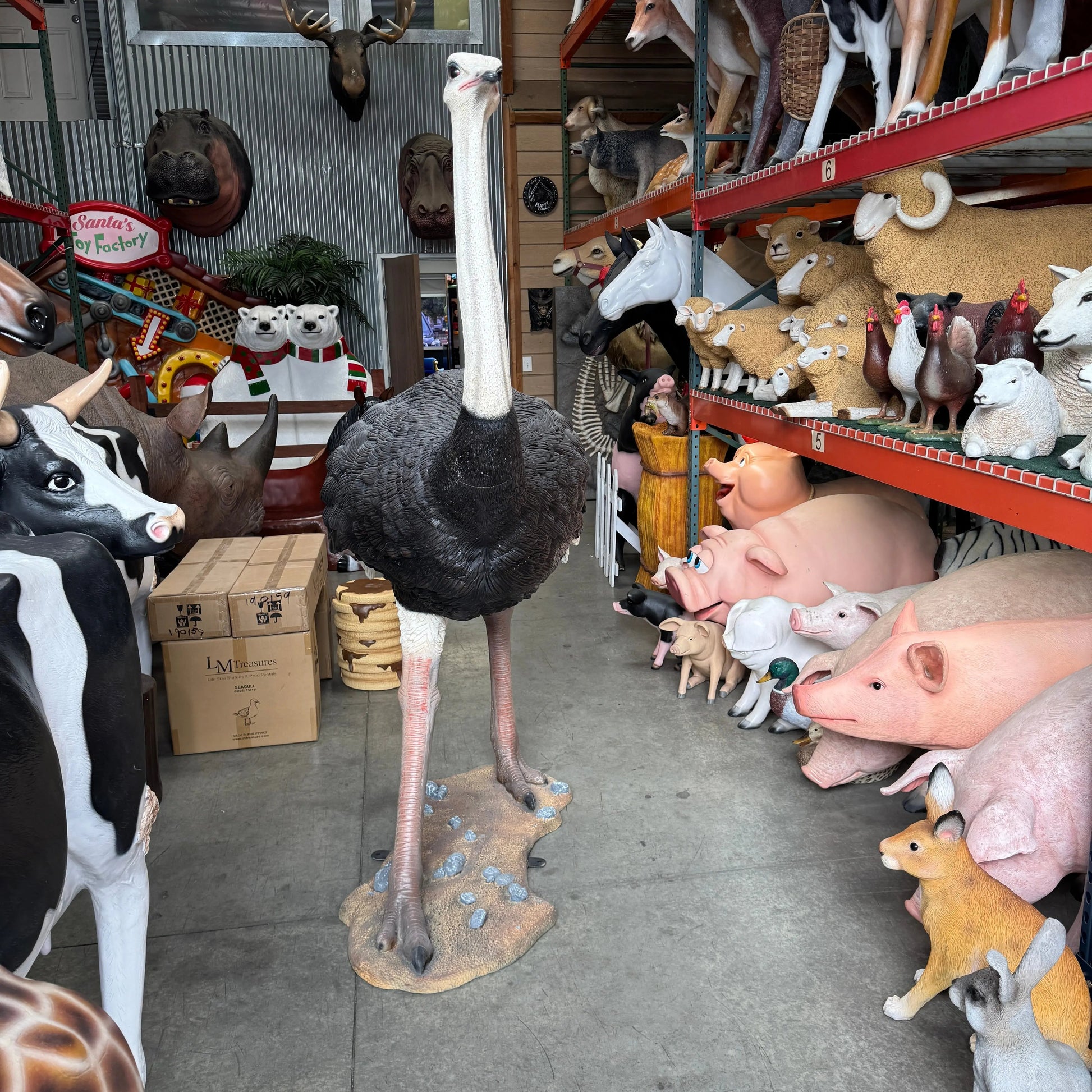 Ostrich Statue A0525-130003-H