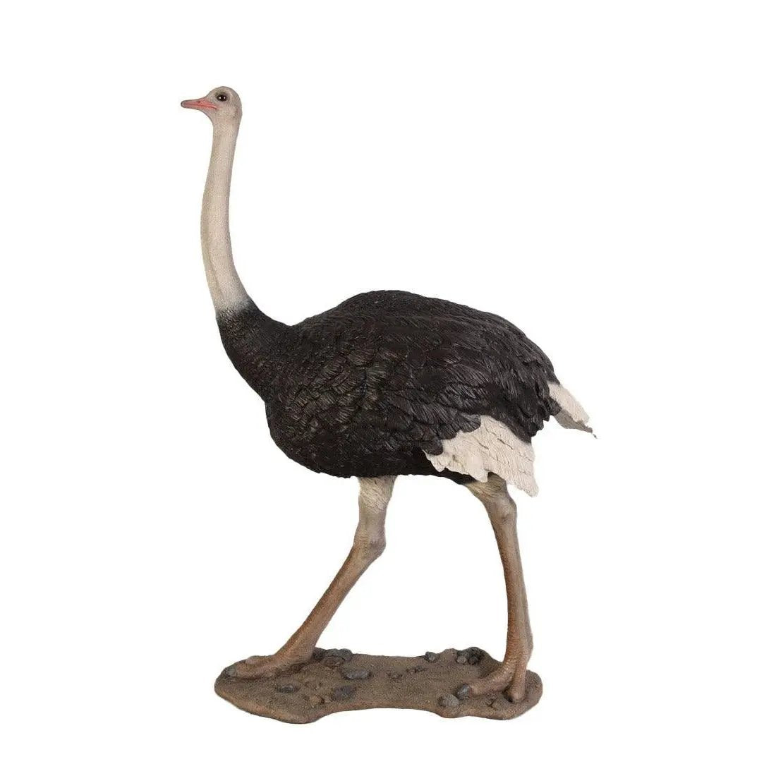 Ostrich Statue - LM Treasures Prop Rentals