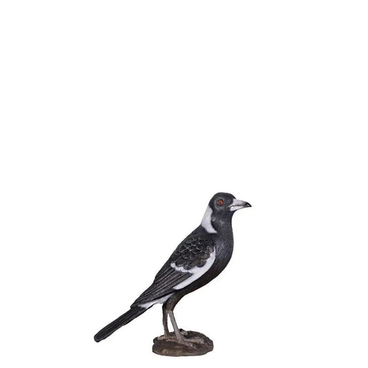Magpie Bird Statue - LM Treasures Prop Rentals