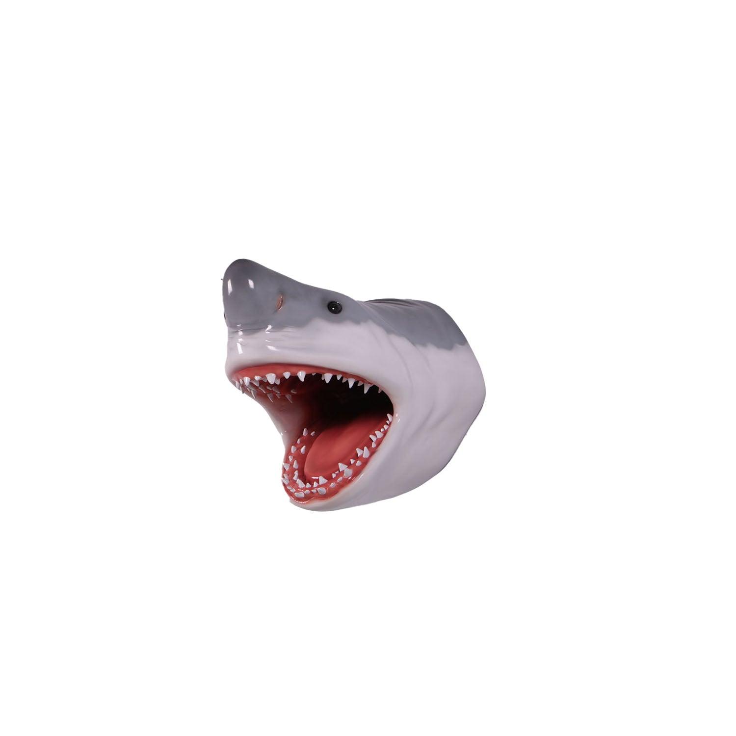 Gray Shark Head Statue - Prop Rental – LM Treasures Prop Rentals