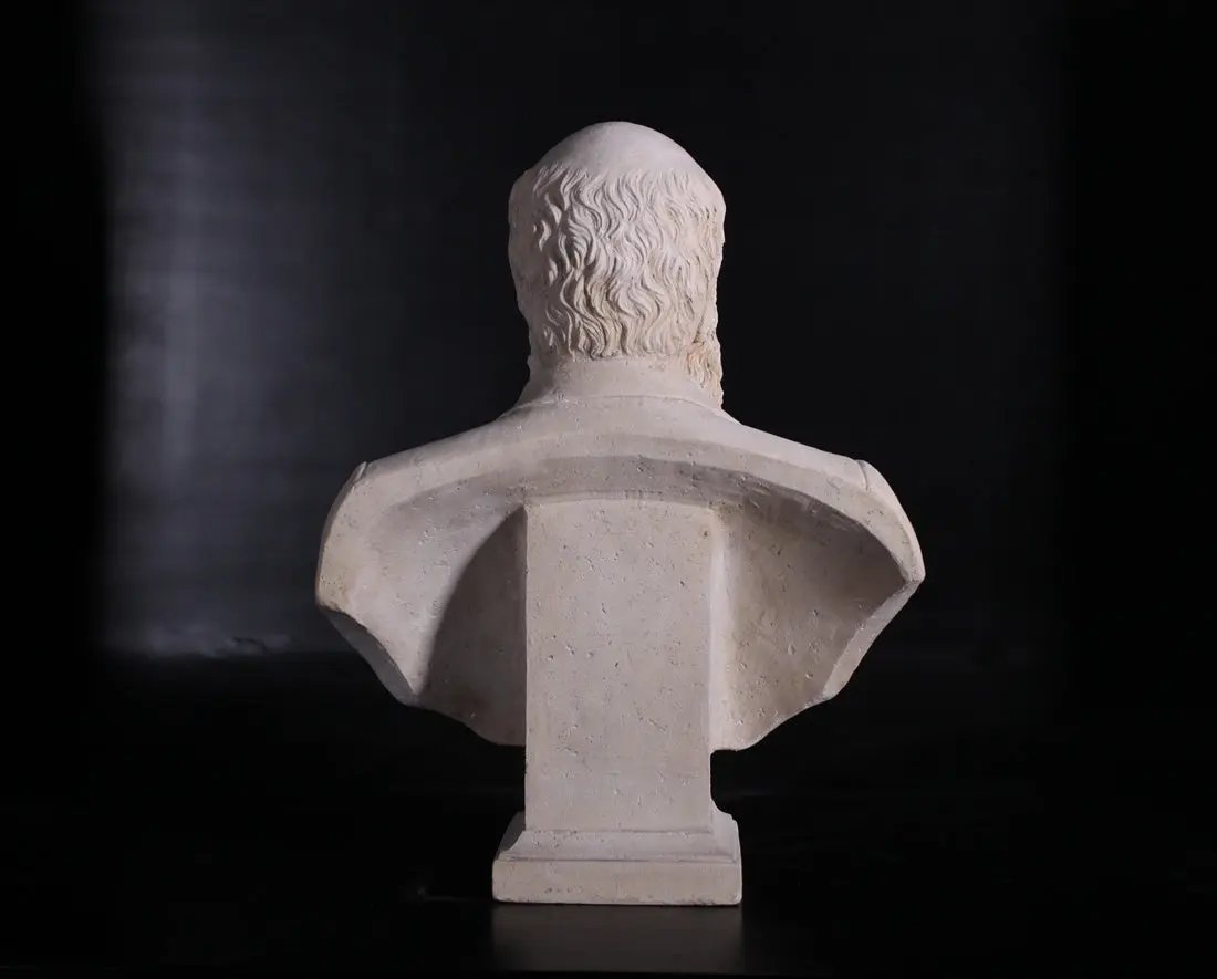 Darwin Stone Bust Statue M0135-130080-H