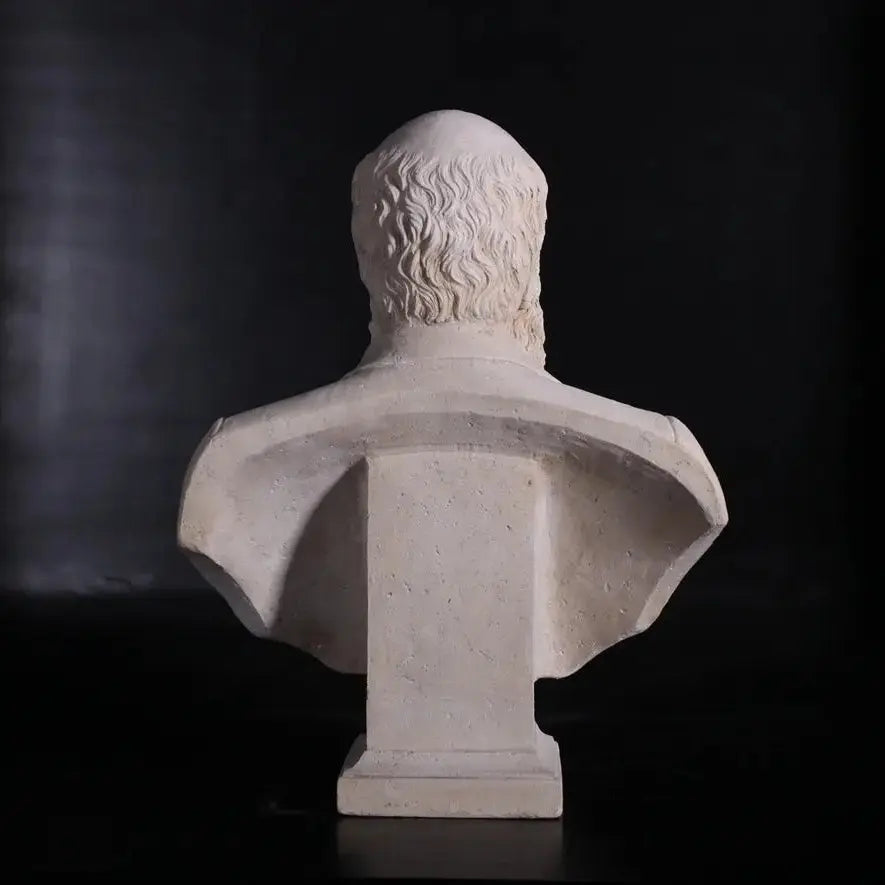 Darwin Stone Bust Statue M0135-130080-H