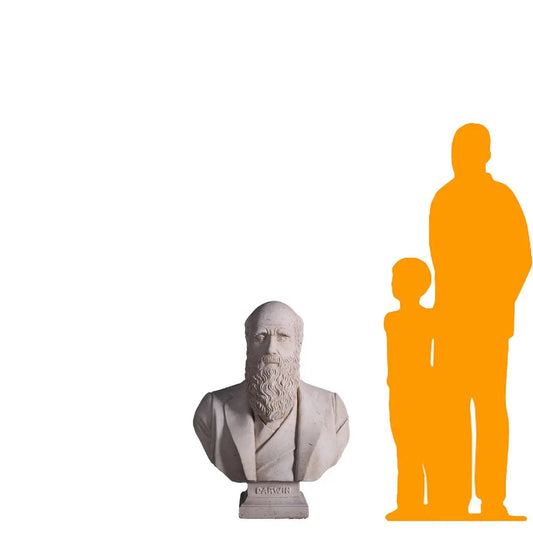 Darwin Stone Bust Statue M0135-130080-H