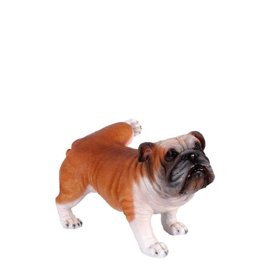 Bulldog Peeing Life Size Statue A0357-130084-H