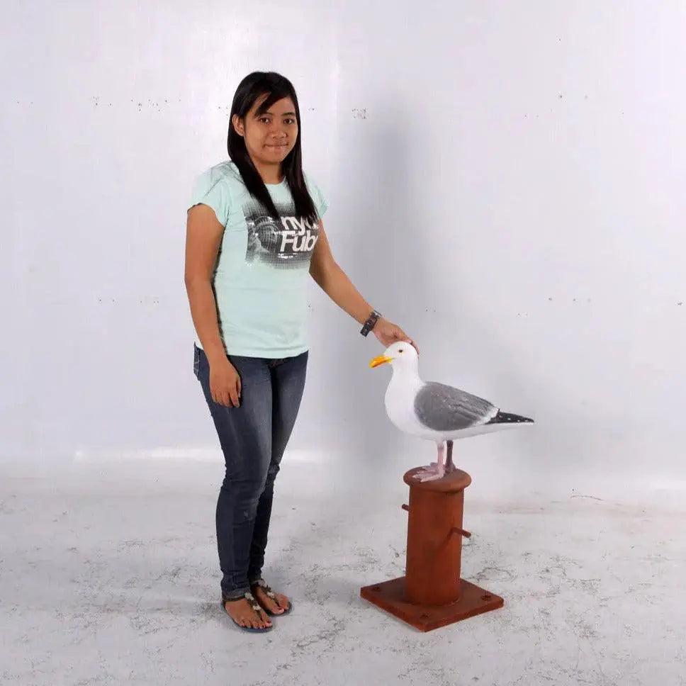 Seagull On Post Statue A0714-130088-H