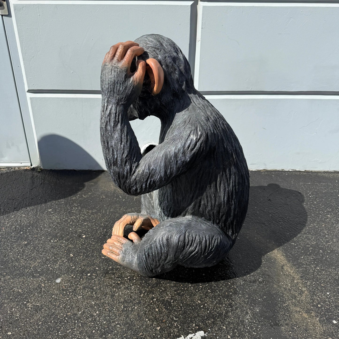 Monkey Max Statue A0721-R255-PT