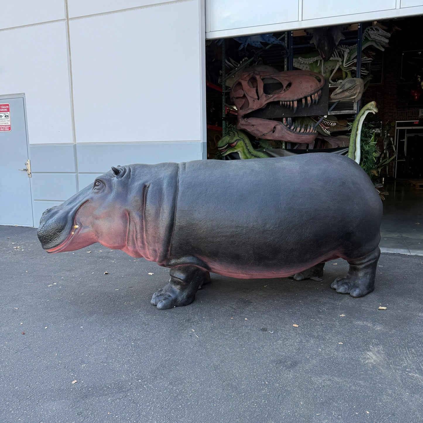Hippo Life Size Statue A0454-140043-H