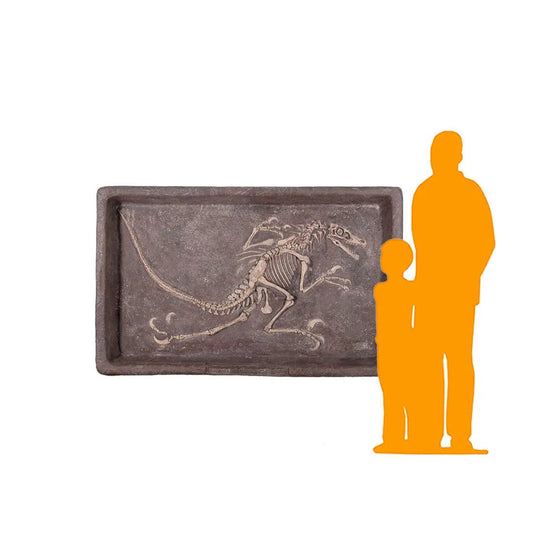 Velociraptor Dinosaur Skeleton Dig Statue A0417-140093-H