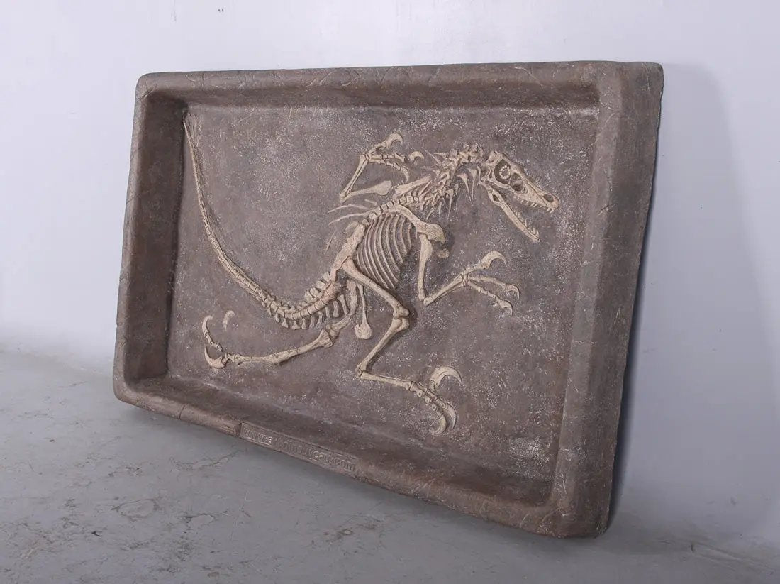 Velociraptor Dinosaur Skeleton Dig Statue A0417-140093-H