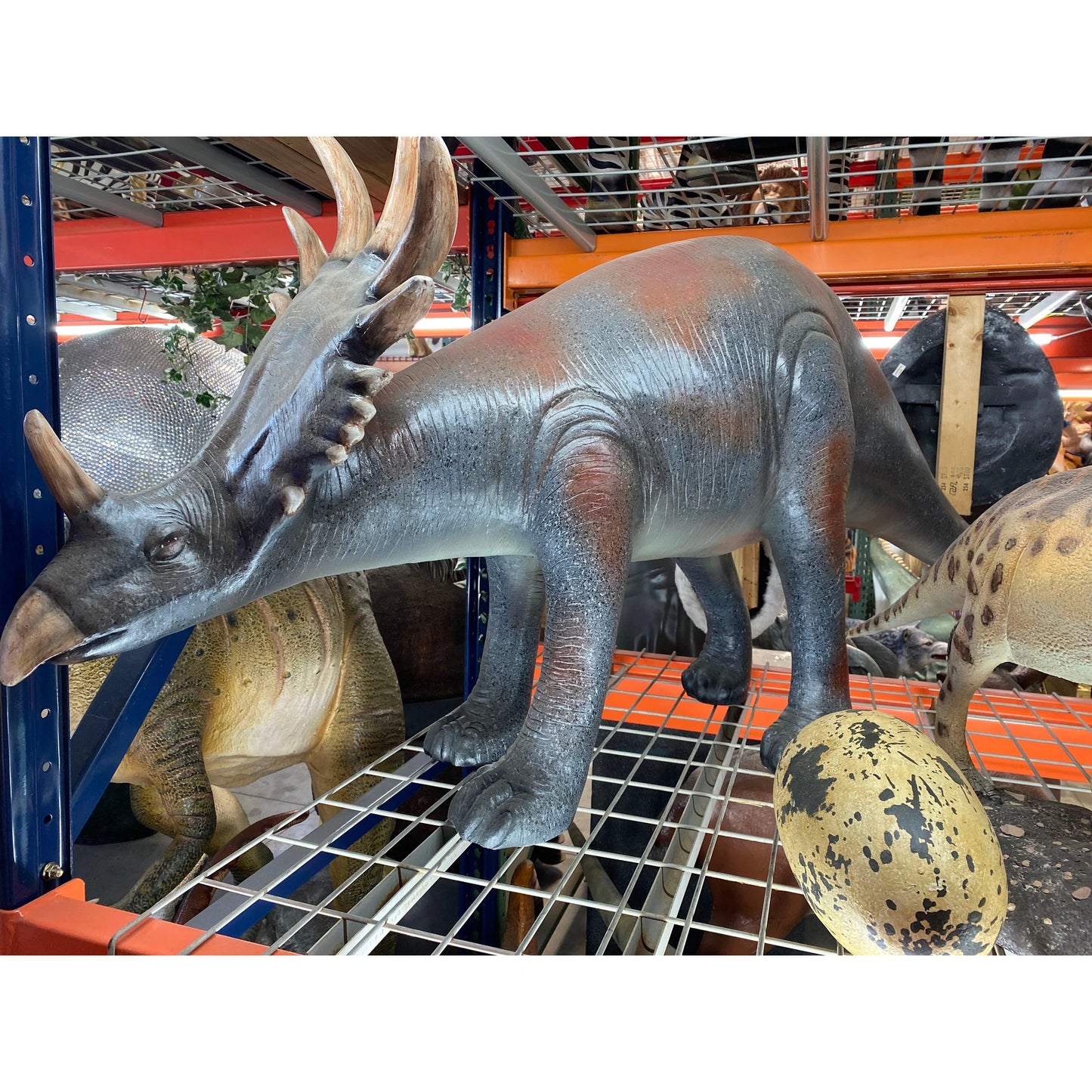 Baby Triceratops Dinosaur Life Size Statue