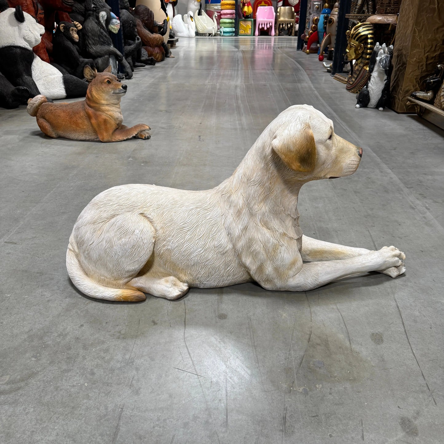 Tan Laying Labrador Life Size Statue A0508T-150251-H
