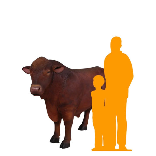 Angus Bull Cow Statue A0636-150355-H