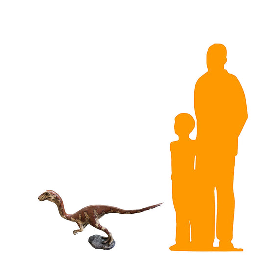 Baby Velociraptor Dinosaur Statue