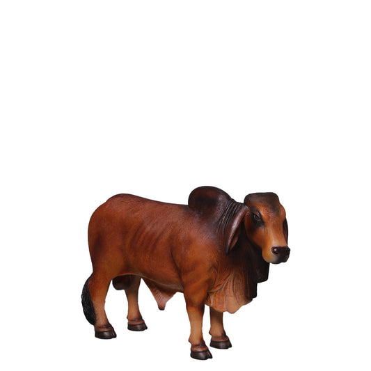 Brown Young Brahman Bull Statue