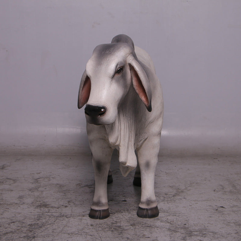 Gray Young Brahman Bull Statue