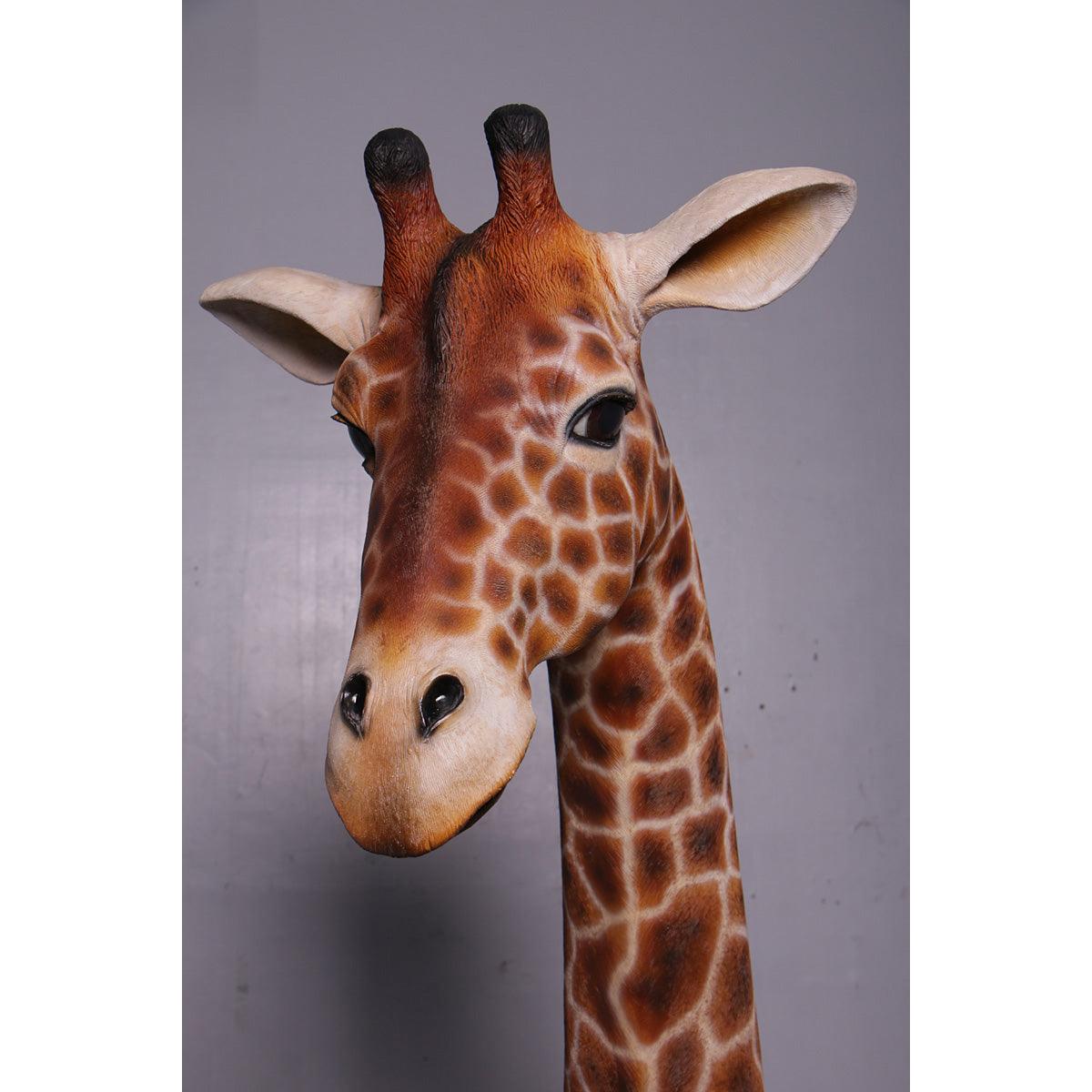 Large Laying Giraffe Statue