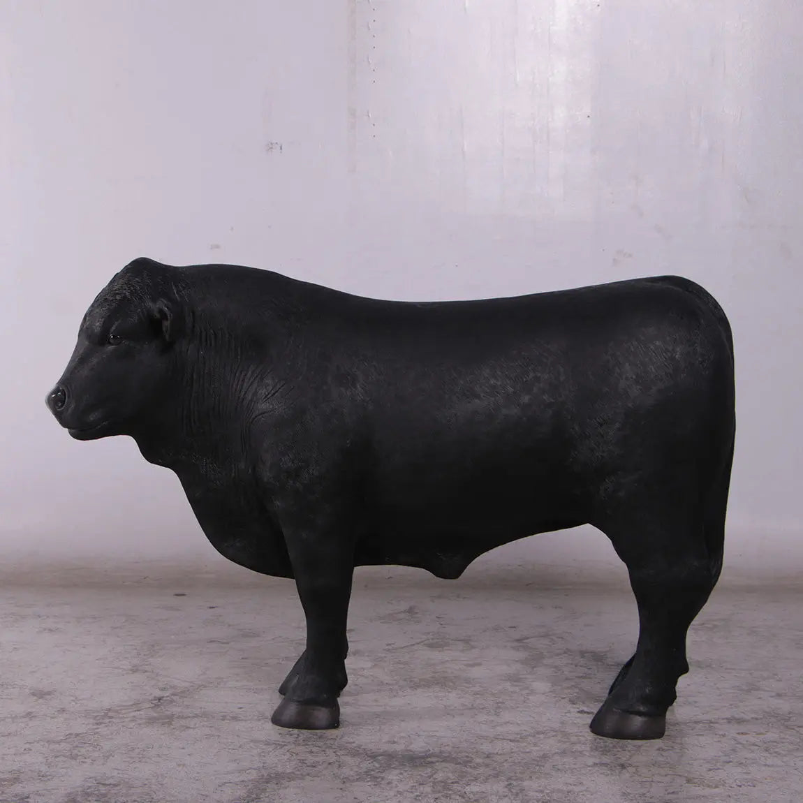 Black Young Angus Bull Looking Left Statue A0885-160069-H