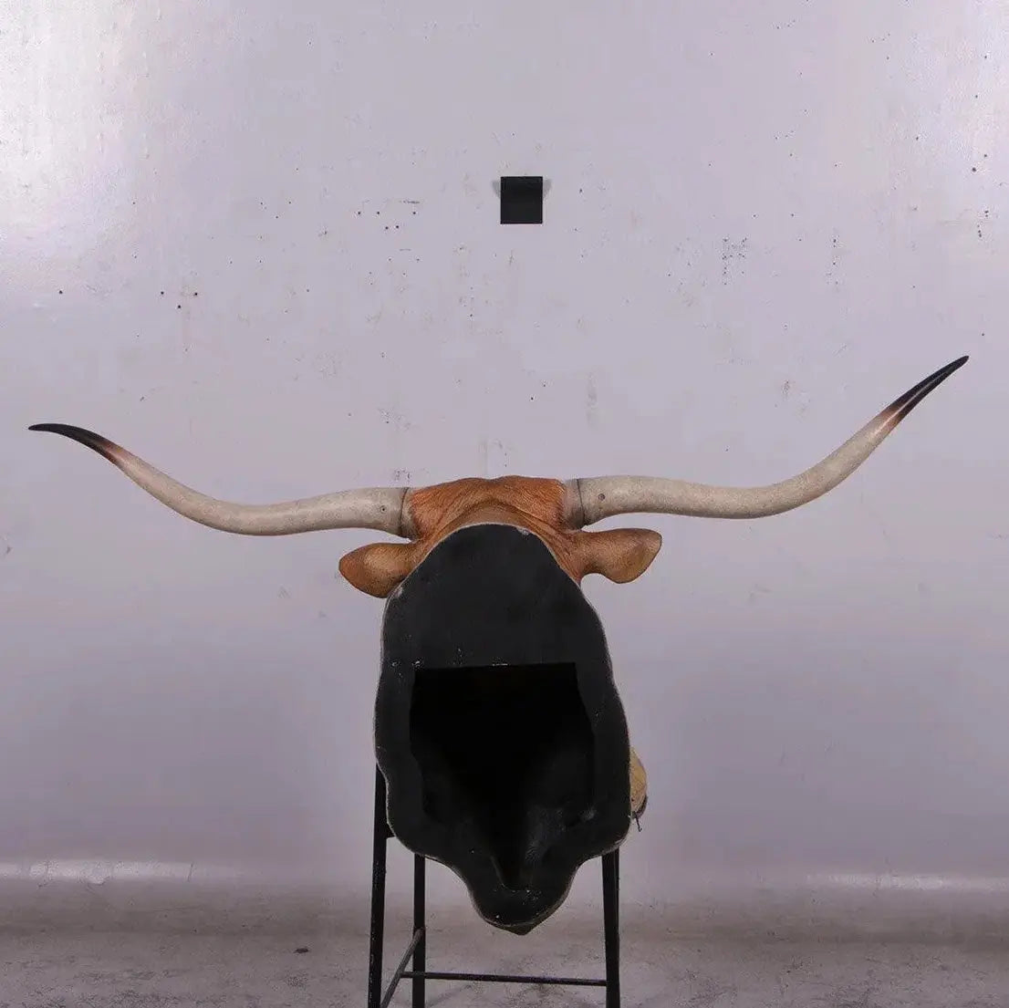 Texas Long Horn Head Life Size Statue A0542-160122-H