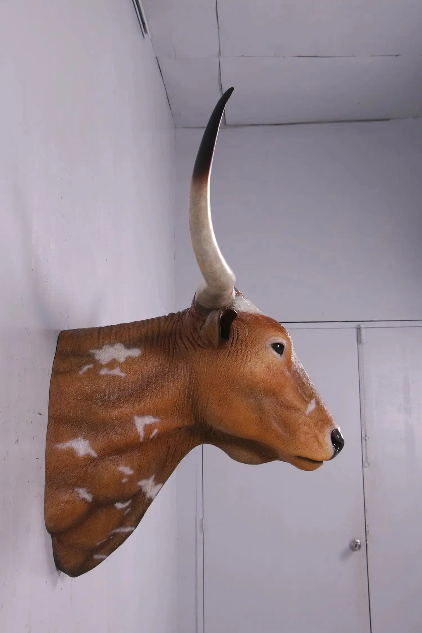 Texas Long Horn Head Life Size Statue A0542-160122-H