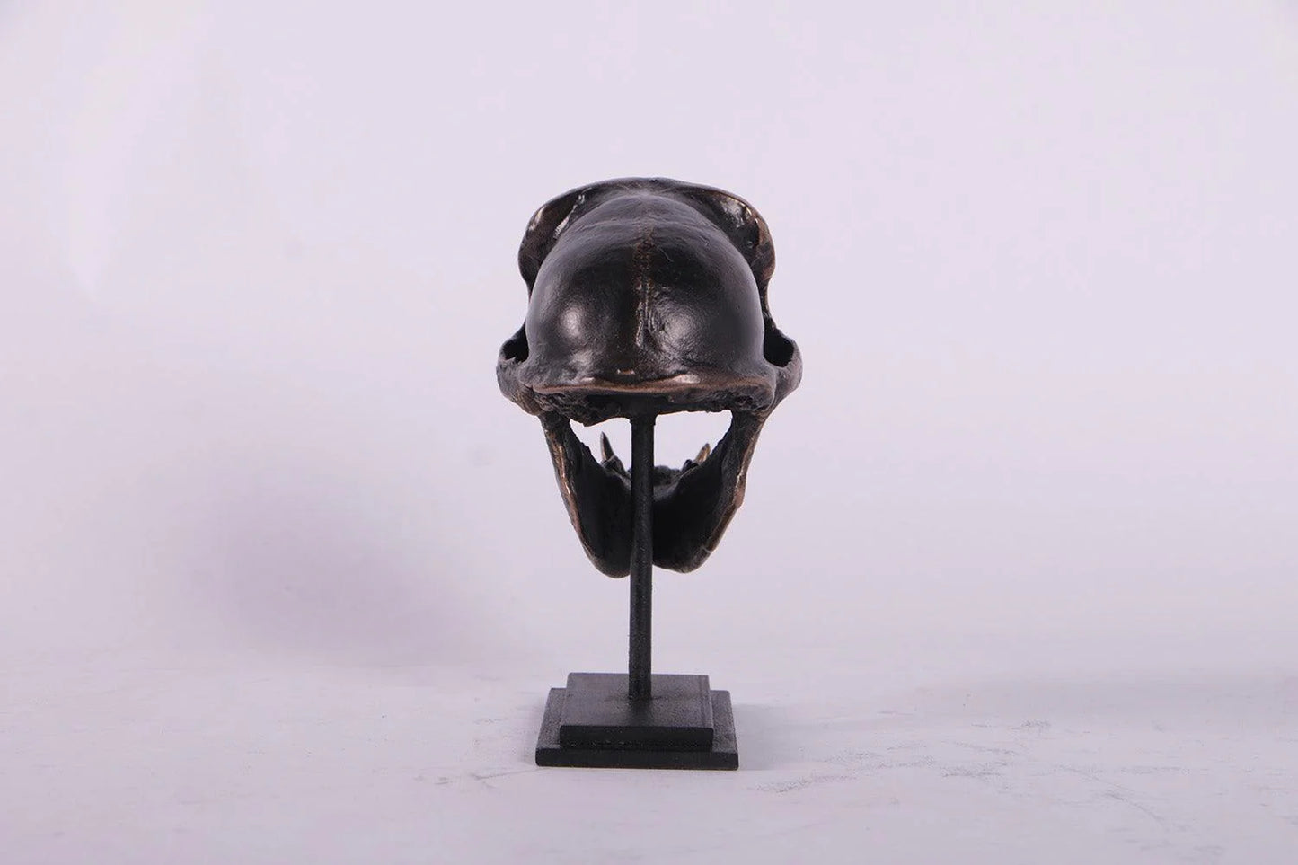 Monkey Macaque Skull on Base Statue