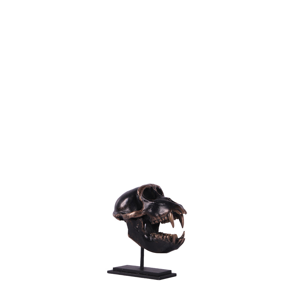 Monkey Macaque Skull on Base Statue