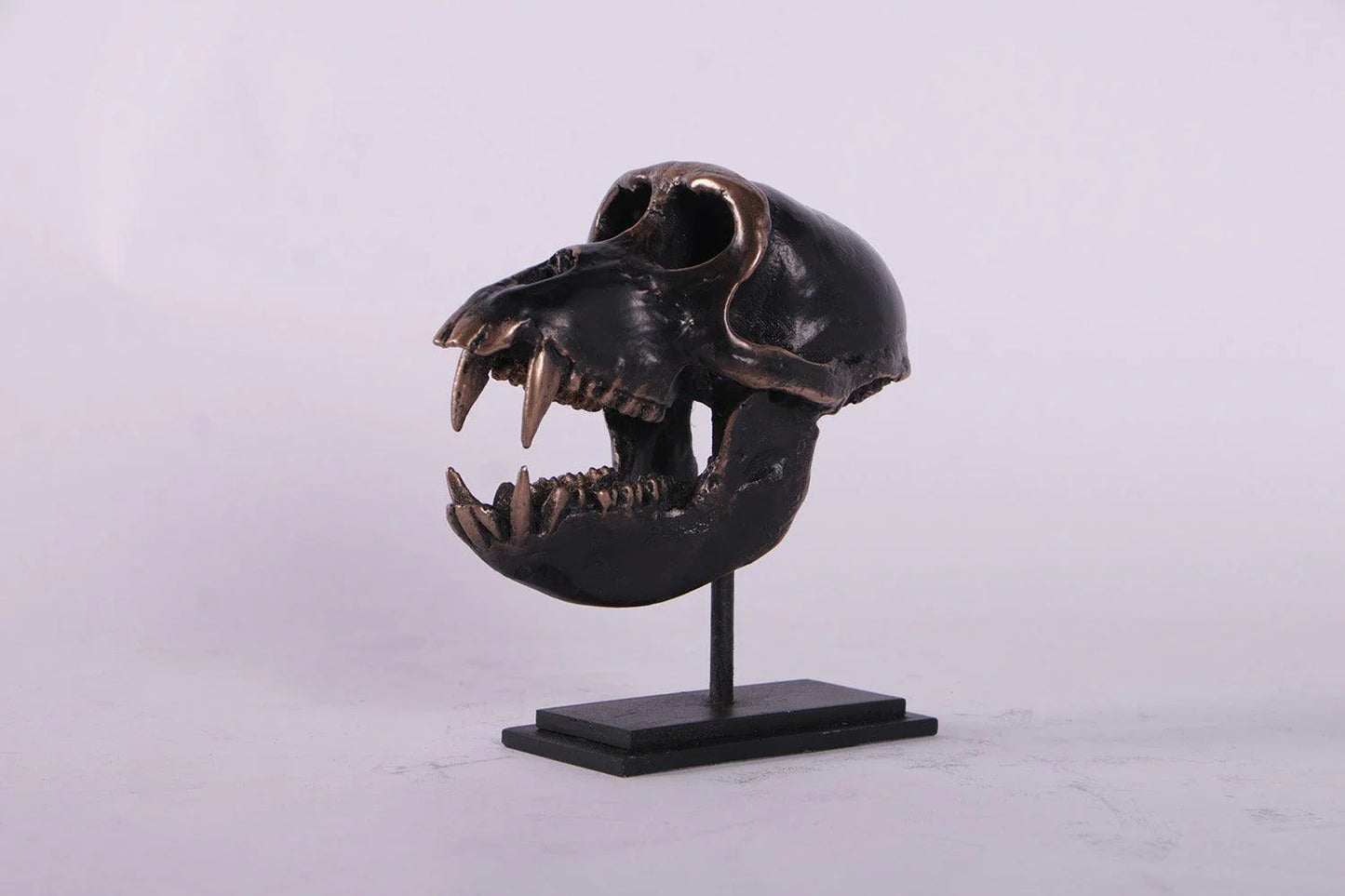 Monkey Macaque Skull on Base Statue