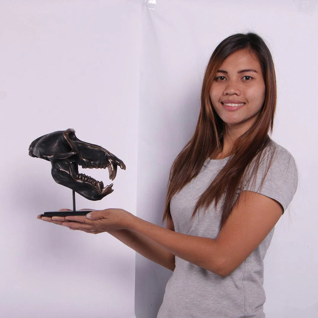 Monkey Baboon Skull On Base Statue