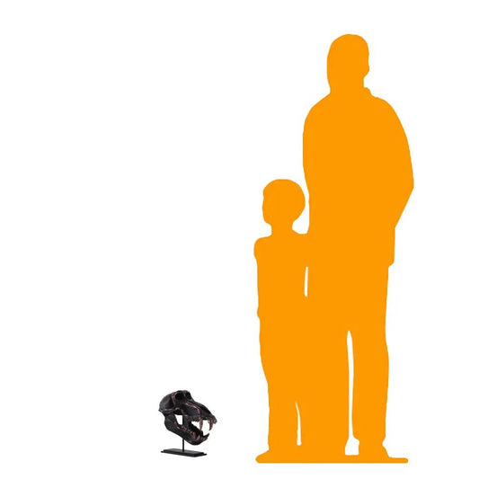 Monkey Baboon Skull On Base Statue A0528-160201-H