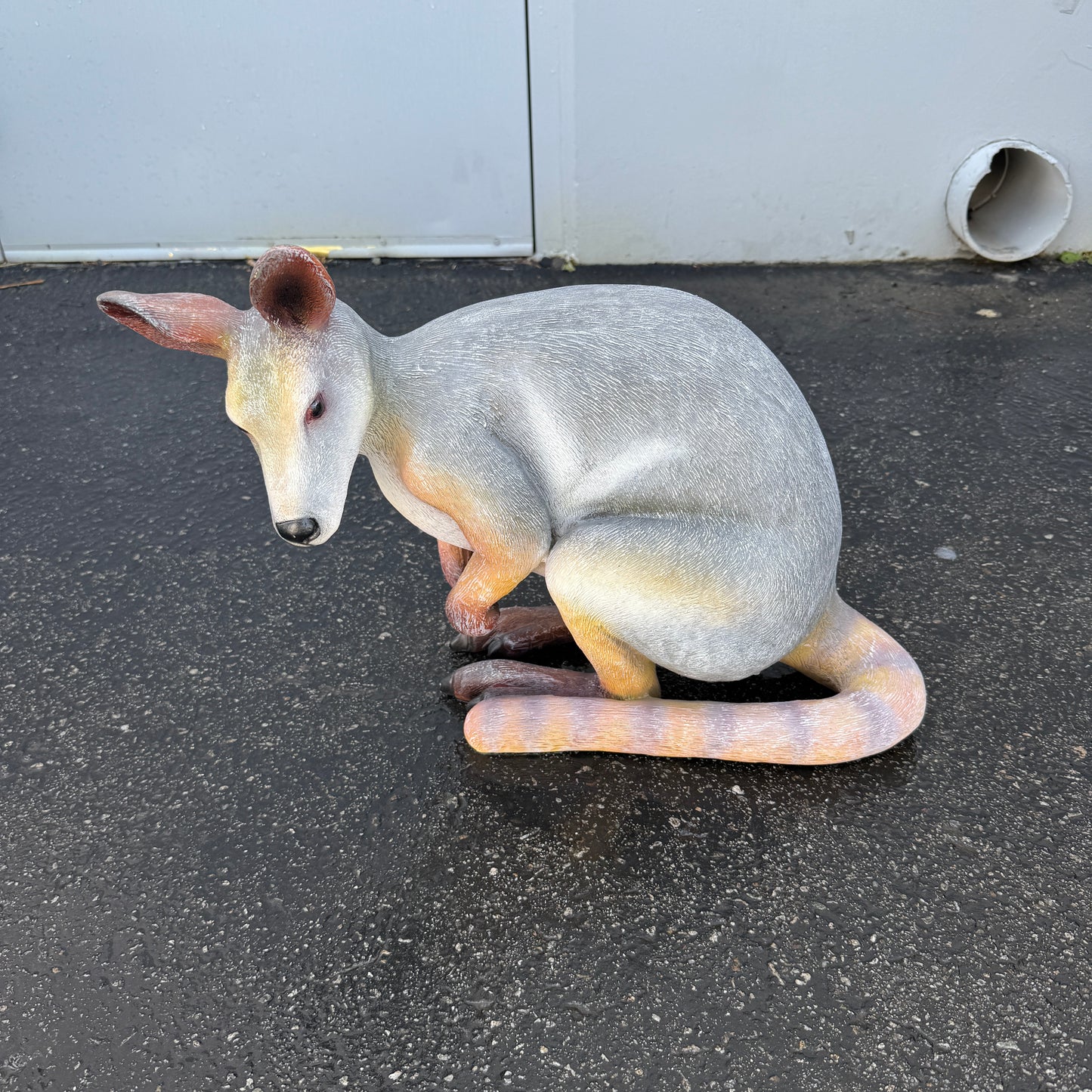 Crouching Wallaby Kangaroo Statue