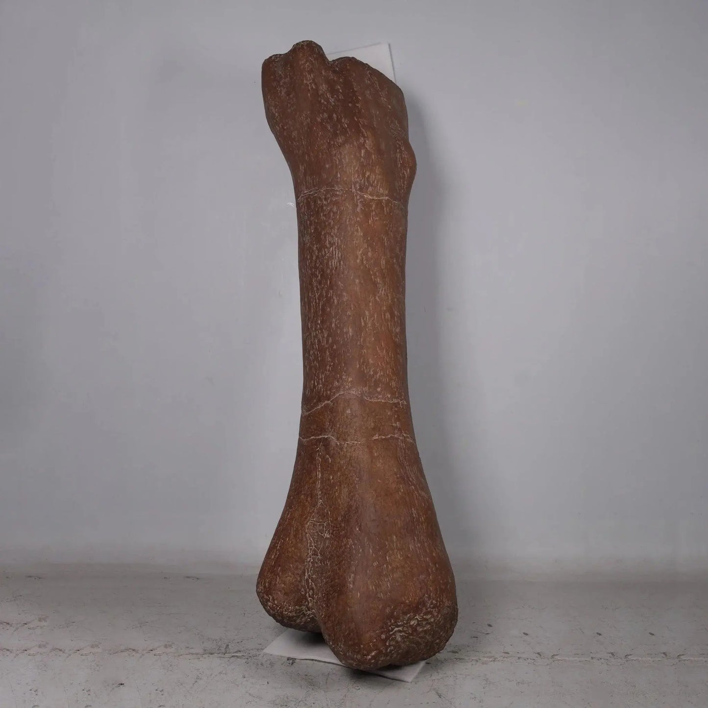 Jumbo Dinosaur Bone Statue A0710-180007-H