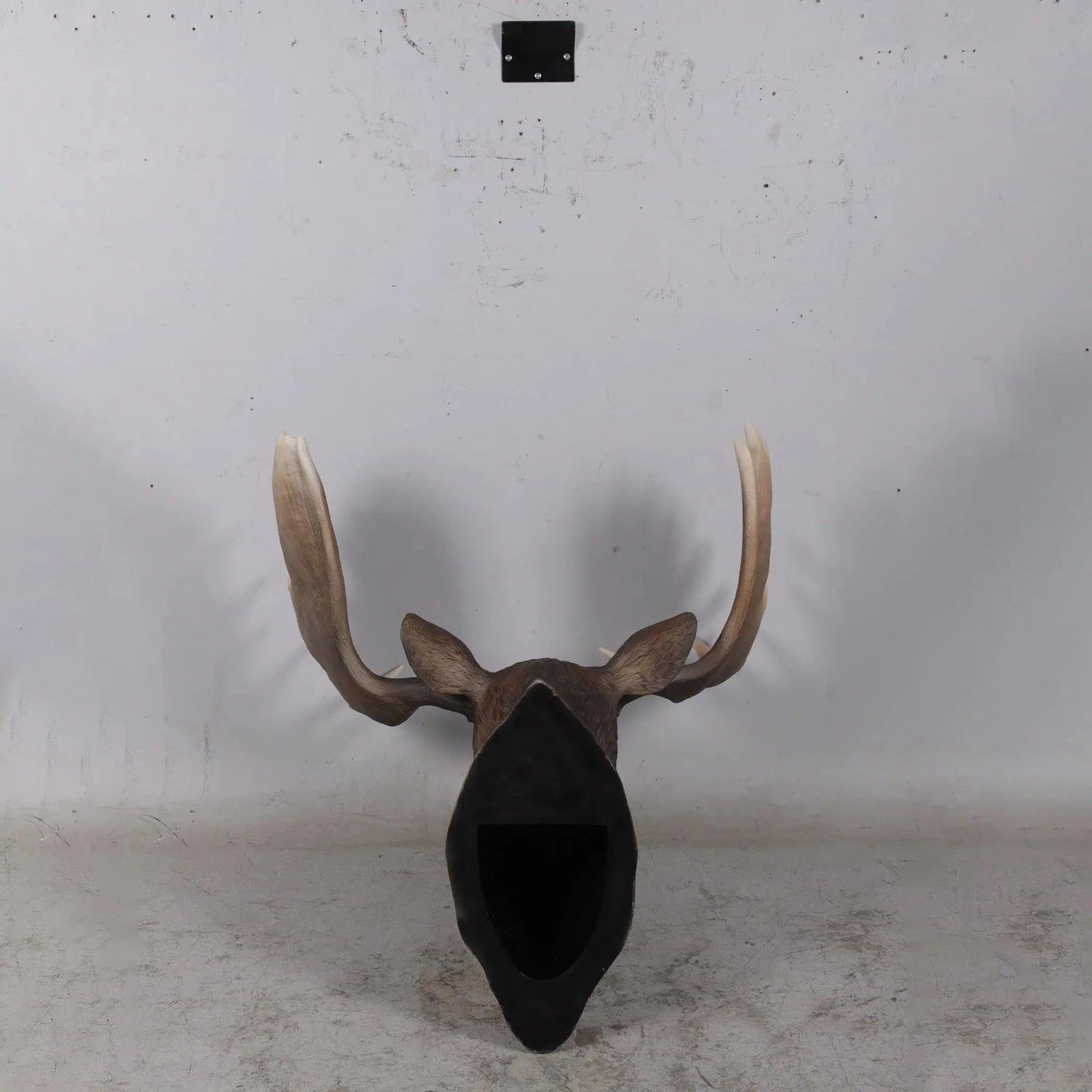 Moose Head Life Size Statue A0736-180023-H