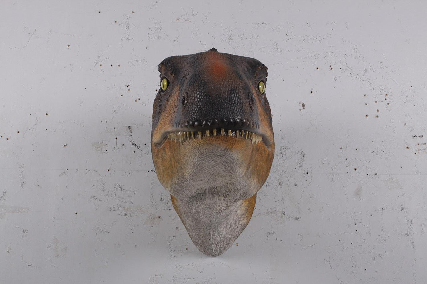 Theropod Dinosaur Head Statue