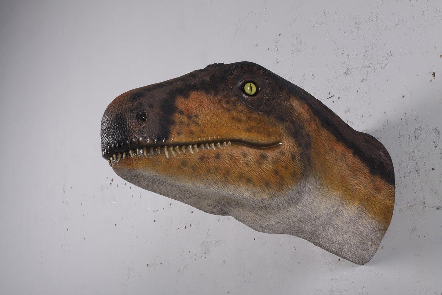 Theropod Dinosaur Head Statue