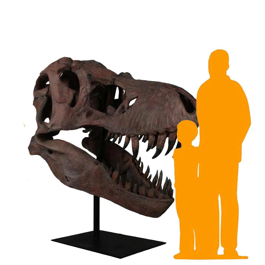 Jumbo T-Rex Skull Statue