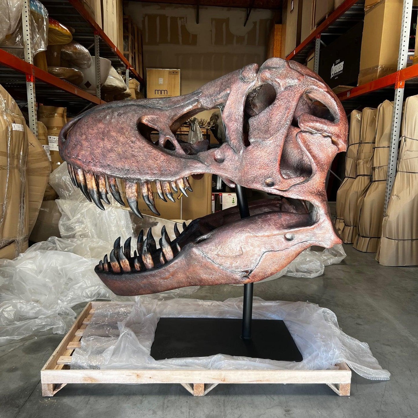 Jumbo T-Rex Skull Statue