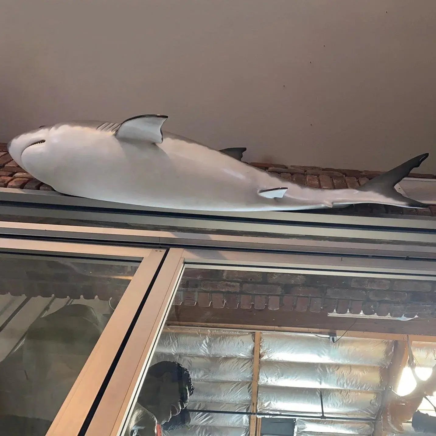 Shark Wall Decor Statue A0762-190108-H