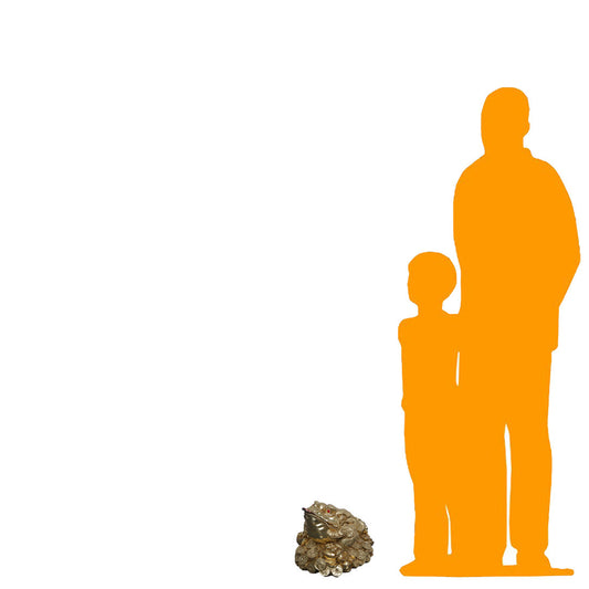 Gold Feng Shui Money Frog Statue A0887-190151-H