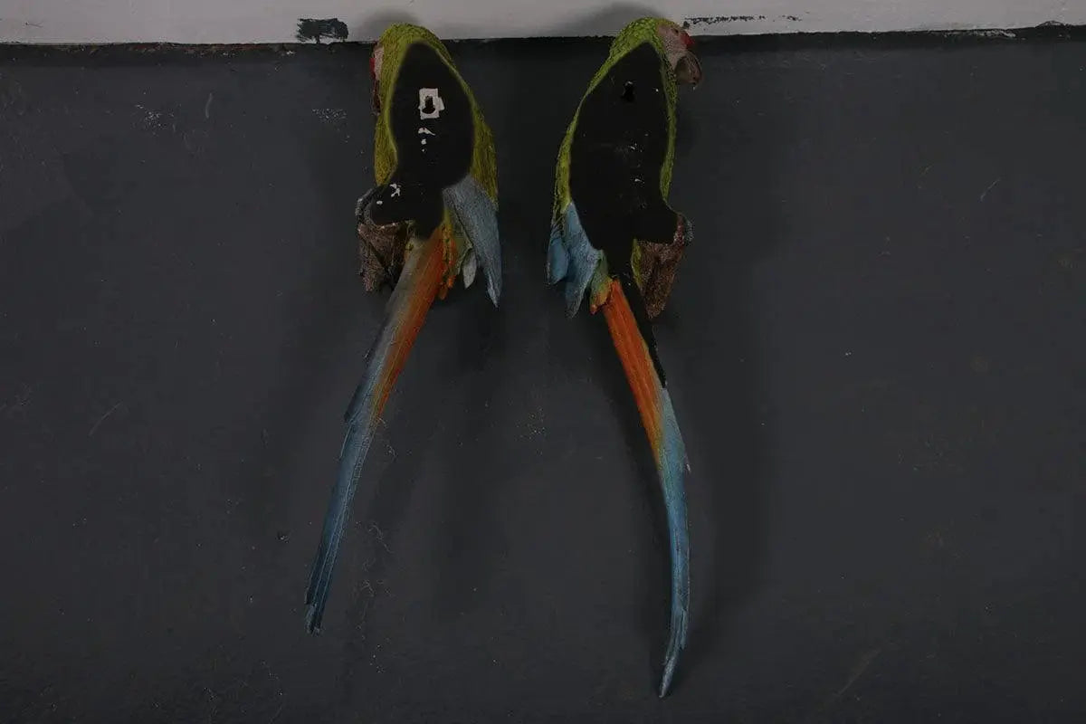 Hanging Macaw Buffon Parrots Statue A0785-190152-H